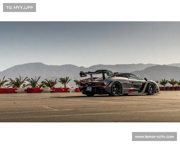 塞纳家族现身英特拉格斯,致敬传奇车手感人瞬间 塞纳家族现身英特拉格斯,致敬传奇车手感人瞬间